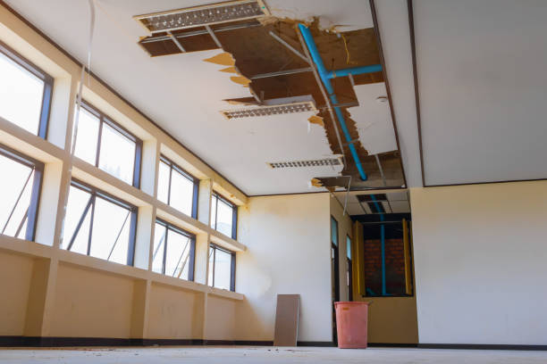Best Water damage restoration near me  in Sierra Madre, CA