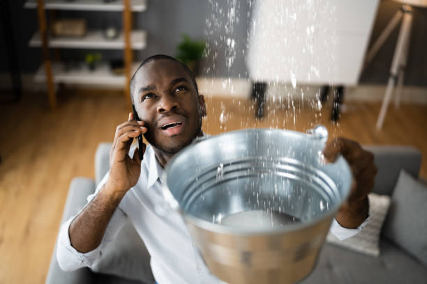 Best Water damage cleanup near me  in Sierra Madre, CA