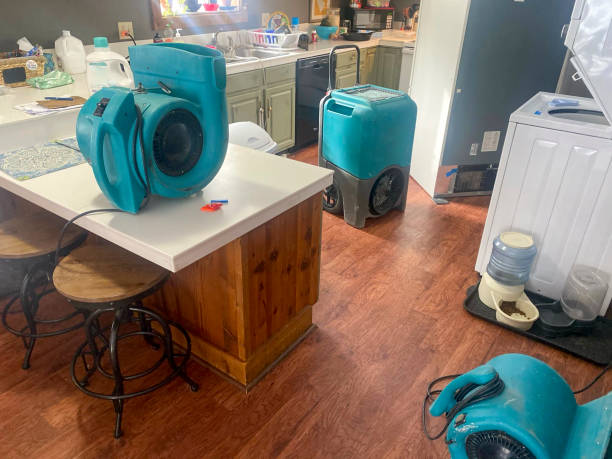 Best Mold removal after water damage  in Sierra Madre, CA