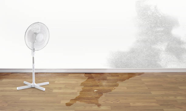 Best Ceiling water damage repair  in Sierra Madre, CA