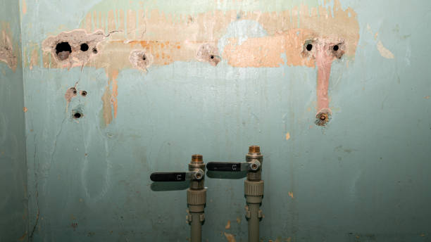 Best Emergency water damage restoration  in Sierra Madre, CA