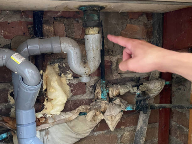 Best Water damage restoration near me  in Sierra Madre, CA